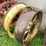 #7458-•-pair-of-tractor-tire-rims-image-1