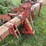 #7461-•-miller-row-crop-cultivator-image-8