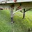 2013-reitnouer-t/a-side-dump-sugar-beet-trailer-image-10