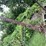 #7472-•-john-deere-sickle-mower-image-3