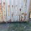 40’-shipping-container-image-15