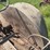 massey-harris-image-52