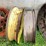 #7458-•-pair-of-tractor-tire-rims-image-7