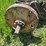 john-deere-model-70-image-15