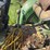 john-deere-1020-image-29