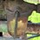 john-deere-g-image-32