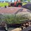 mccormick-deering-super-wd-9-image-61