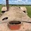 allis-chalmers-u-image-18