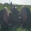 mccormick-deering-w-9-gas-image-4