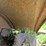 john-deere-d-image-39