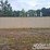 40'-container-single-walk-door,-2-side-doors-image-2