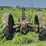 john-deere-g-image-4