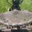 john-deere-g-image-49