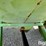 parker-grain-chariot-grain-cart-image-15