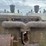 20-35-twin-city-image-44