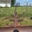8’-three-point-blade-image-4