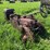 john-deere-gp-image-3