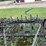 #7496-•-antique-field-cultivator-image-11