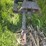 john-deere-g-image-38