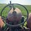 mccormick-deering-w-9-gas-image-32