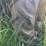 john-deere-1020-image-63
