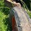 allis-chalmers-with-sickle-mower-image-15