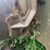 john-deere-g-image-55
