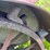 john-deere-d-image-38