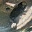 john-deere-h-image-17