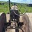 massey-harris-image-65