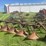 john-deere-plow-image-7