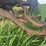 allis-chalmers-b-image-30