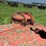allis-chalmers-model-uc-image-49