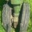 john-deere-g-image-12