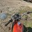 honda-450-image-21