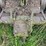 john-deere-g-image-66