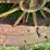 john-deere-d-image-44