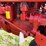 1941-farmall-bn-image-25