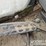 2011-deere-250g-lc-image-78