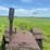 john-deere-d-image-11