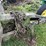 #7467-•-john-deere-trailer-frame-image-11