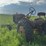 allis-chalmers-b-image-3
