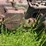 john-deere-model-gm-image-26