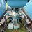 lanz-d2816-image-17