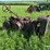 john-deere-gp-image-7
