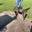 yanmar-mini-excavator-image-8