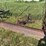 8’-three-point-blade-image-3