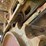 lombardini-crawler-original-image-16