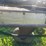 military-cargo-trailer-image-7