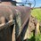 john-deere-g-image-16